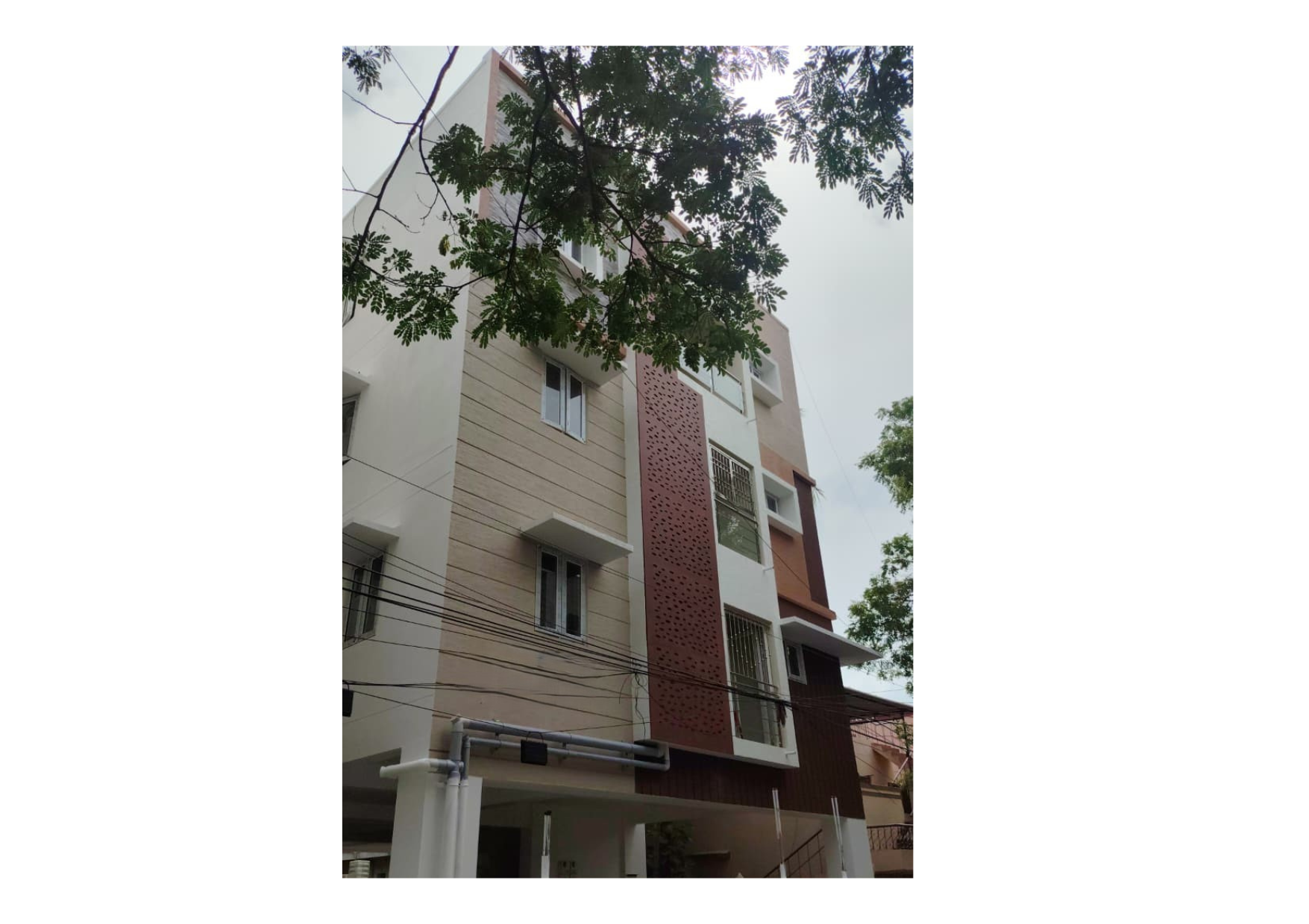 Elevation